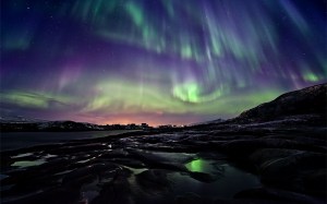 Photo credit: Ole C. Salomonsen