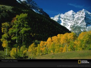 mountain-and-trees-394910-sw